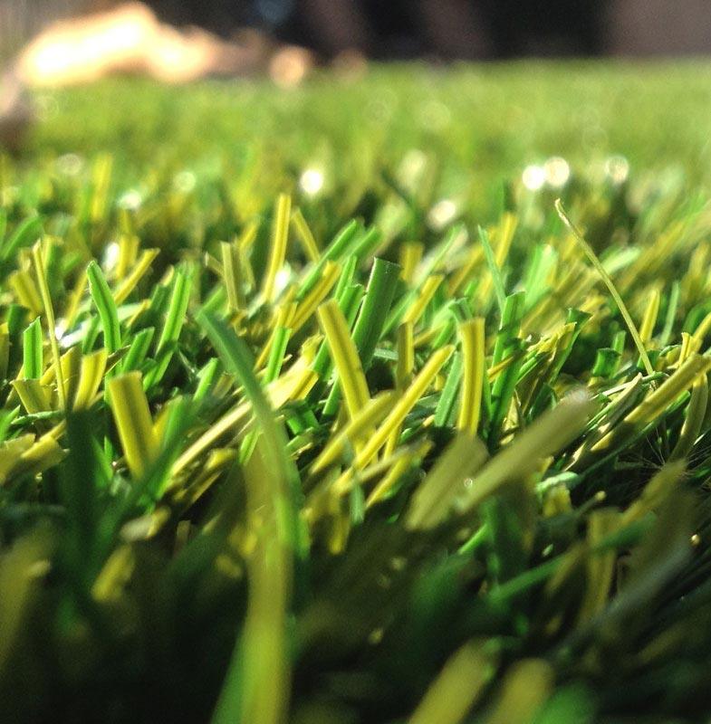 synthetic grass in Delaware