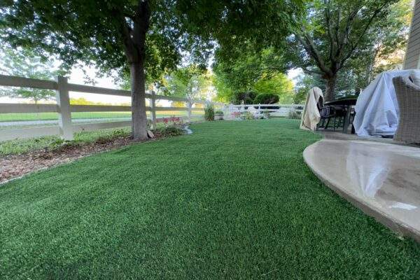 Why Artificial Grass Is a Smart Choice for Colorado’s Dry Climate?